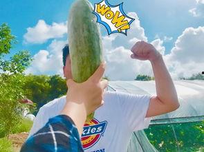 网红泡泡黄钰杰吃瓜