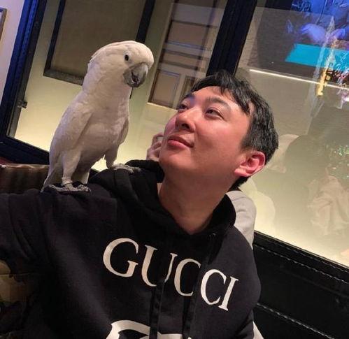 最近网红吃瓜第一线,揭秘娱乐圈最新热点事件