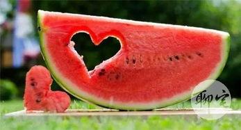 吃瓜免费网,吃瓜免费网带你畅游明星幕后故事