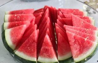 51黑科网吃瓜在线观看,揭秘网络热点背后的真相