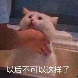 朝阳群众吃瓜网52