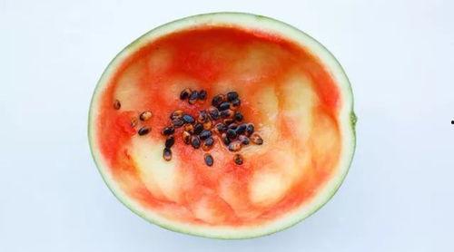 网红大勺子吃瓜视频大全