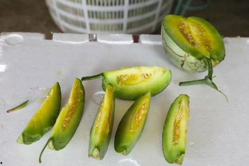 吃瓜官网蘑菇视频