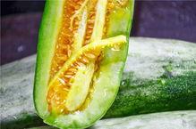 网红吃的什么瓜,揭秘当红明星的美食秘籍