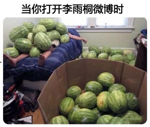 全国最大的吃瓜网